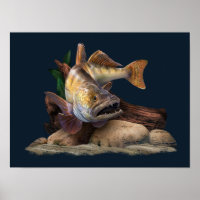 Walleye Fishing Illustration, Walleye Fisherman