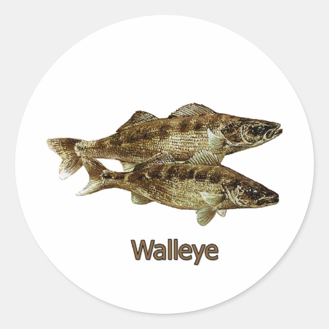 Walleye Fishing Logo Classic Round Sticker (Front)