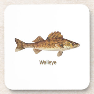 Walleye (Great Lakes) Coaster