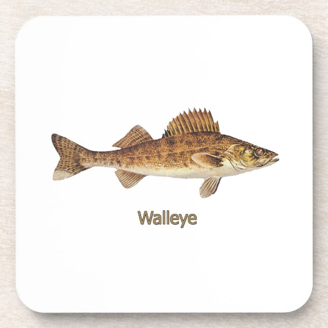 Walleye (Great Lakes) Coaster (Front)