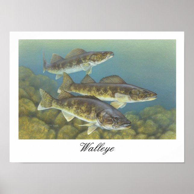 Walleye Painting Poster (Front)