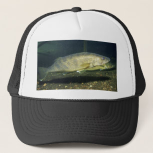 walleye trucker hat