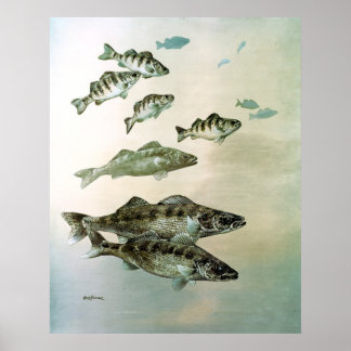 walleye yellow perch and pike canvas print