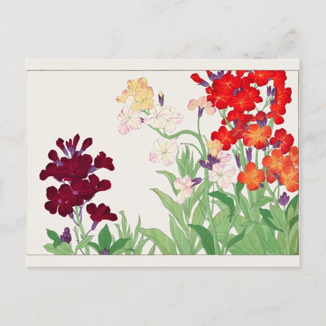 Wallflower by Tanigami Konan Postcard (Front)
