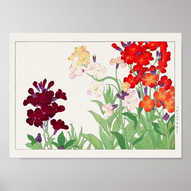 Wallflower by Tanigami Konan Poster (Front)