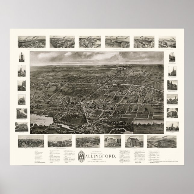 Wallingford, CT Panoramic Map - 1905 Poster (Front)