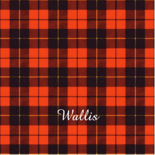 Wallis clan Plaid Scottish tartan Photo Sculpture Key Ring