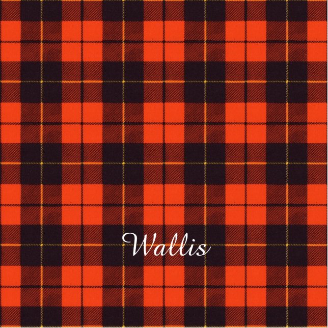 Wallis clan Plaid Scottish tartan Photo Sculpture Key Ring (Front)