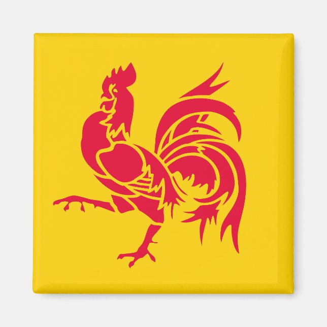 Wallonia flag Belgium region french province symbo Magnet (Front)