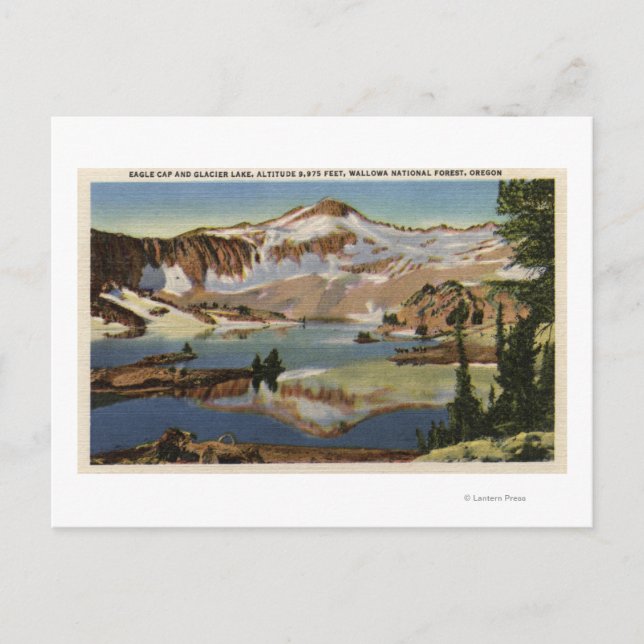 Wallowa National Forest, OR Postcard (Front)