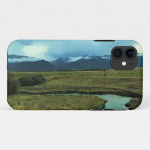 Wallowa River, OR iPhone 11 Case