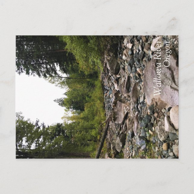 Wallowa River, OR Postcard (Front)