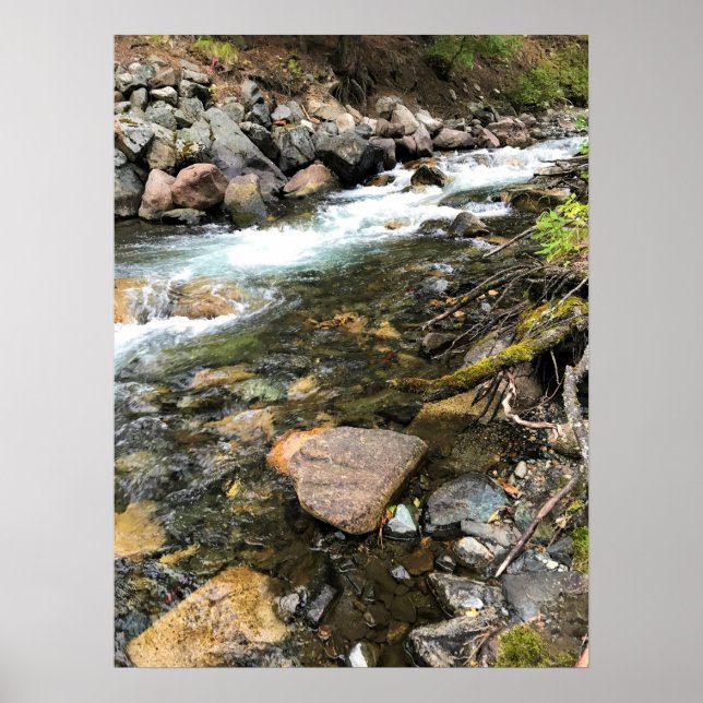 Wallowa River, OR Poster (Front)