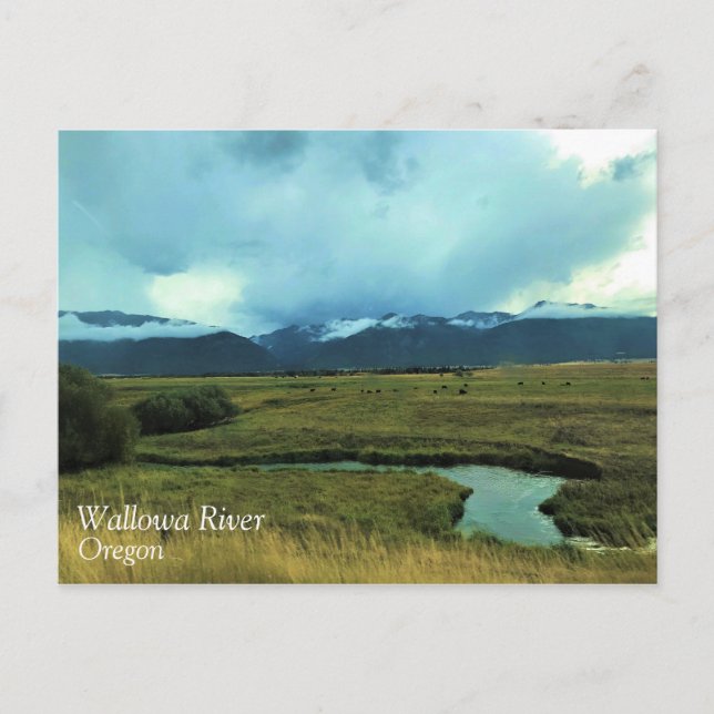 Wallowa River, Oregon Postcard (Front)