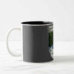 Wallowa-Whitman National Forest - New Hampshire Two-Tone Coffee Mug