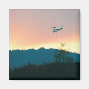 Wallows Fire of 2007... Magnet