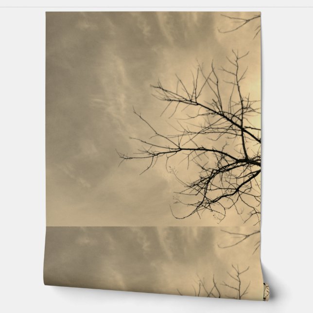 Wallpaper style design (Unrolling)