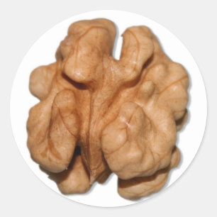 Walnut Classic Round Sticker