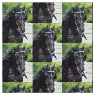 Walnut Hill Carriage Driving Show 2015 Fabric