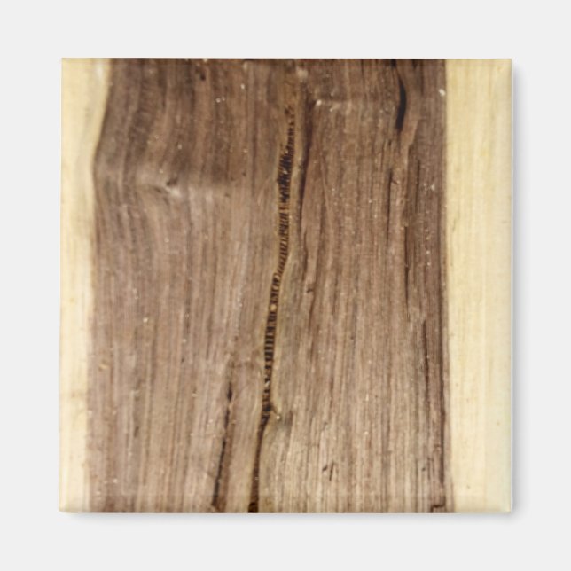 Walnut Magnet (Front)