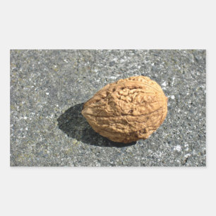 Walnut on a granule rectangular sticker