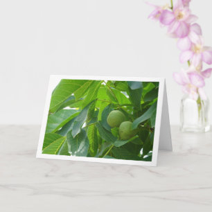 Walnut Tree Portrait Card