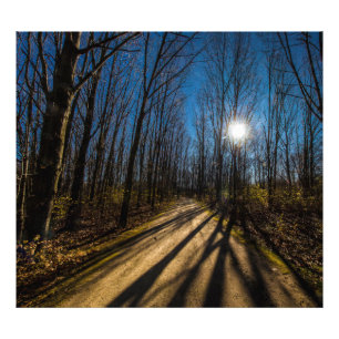 Walnut Woods Metro Park, Groveport, Ohio Photo Print