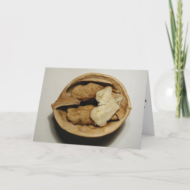 Walnuts greeting card (Front)