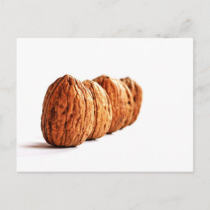 Walnuts Photo on White Postcard