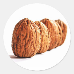 Walnuts - Sticker