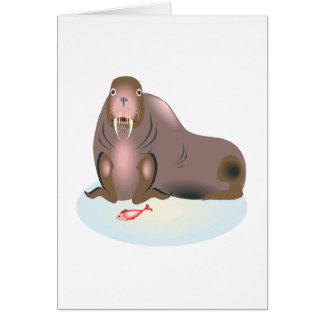 Walrus 2