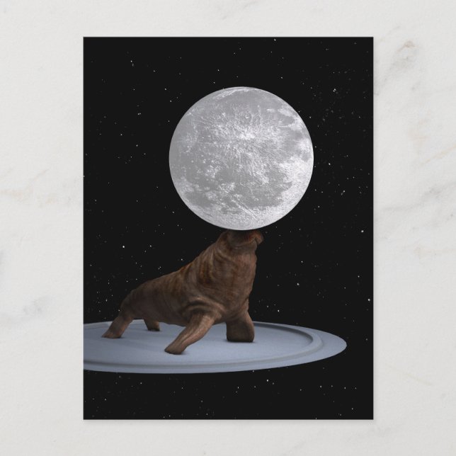 Walrus Balancing The Moon Postcard (Front)