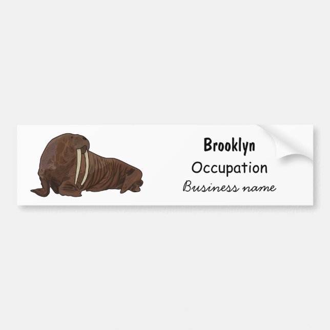 Walrus cartoon illustration bumper sticker (Front)