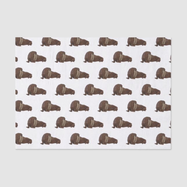 Walrus cartoon illustration tissue paper (Front)