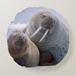 Walrus cow and calf rest on a sea ice floe round cushion
