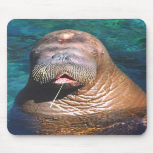 Walrus Eyes Closed Mousepad