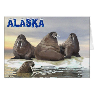 Walrus - Four Brothers