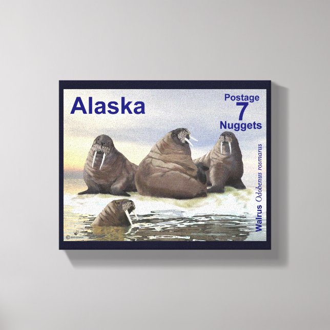 Walrus - Four Brothers - Alaska Postage Canvas Print (Front)