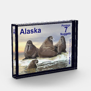 Walrus - Four Brothers - Alaska Postage Photo Block