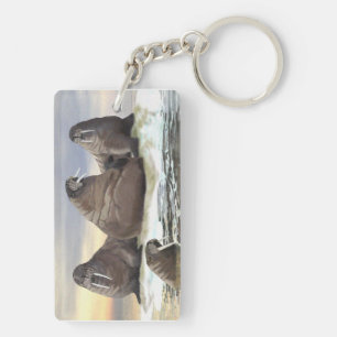 Walrus - Four Brothers Key Ring
