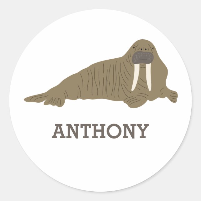 Walrus Graphic Realistic Style Illustration Classic Round Sticker (Front)
