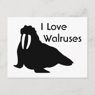 Walrus Love Postcard