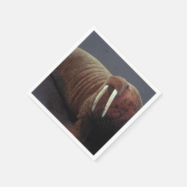 Walrus Napkin (Corner)