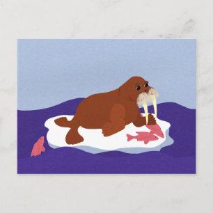 Walrus on Iceberg with Fish Postcard