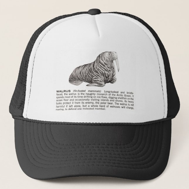 walrus trucker hat (Front)