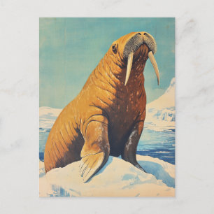 Walrus vintage postcard