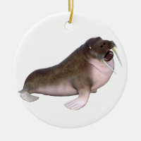 Walrus with quizzical look