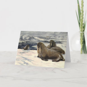 Walruses in the Arctic Snow, Vintage Marine Animal Card