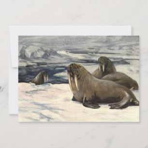 Walruses in the Arctic Snow, Vintage Marine Animal Invitation