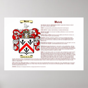 Walsh (meaning) poster